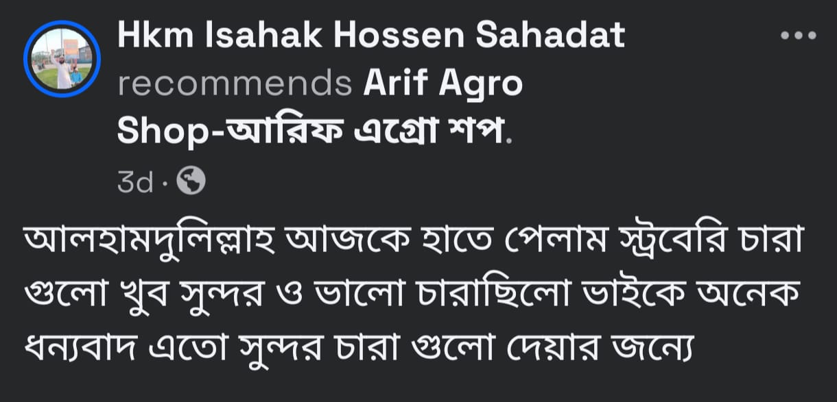 WhatsApp Review 2