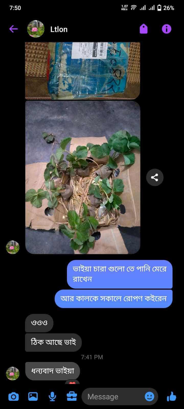 WhatsApp Review 4