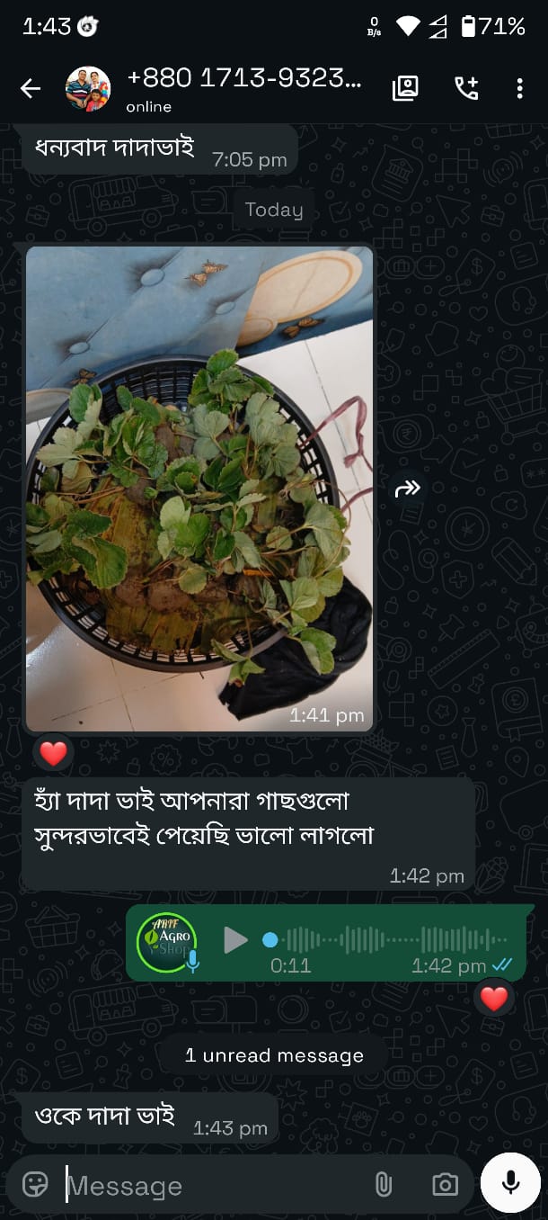 WhatsApp Review 3