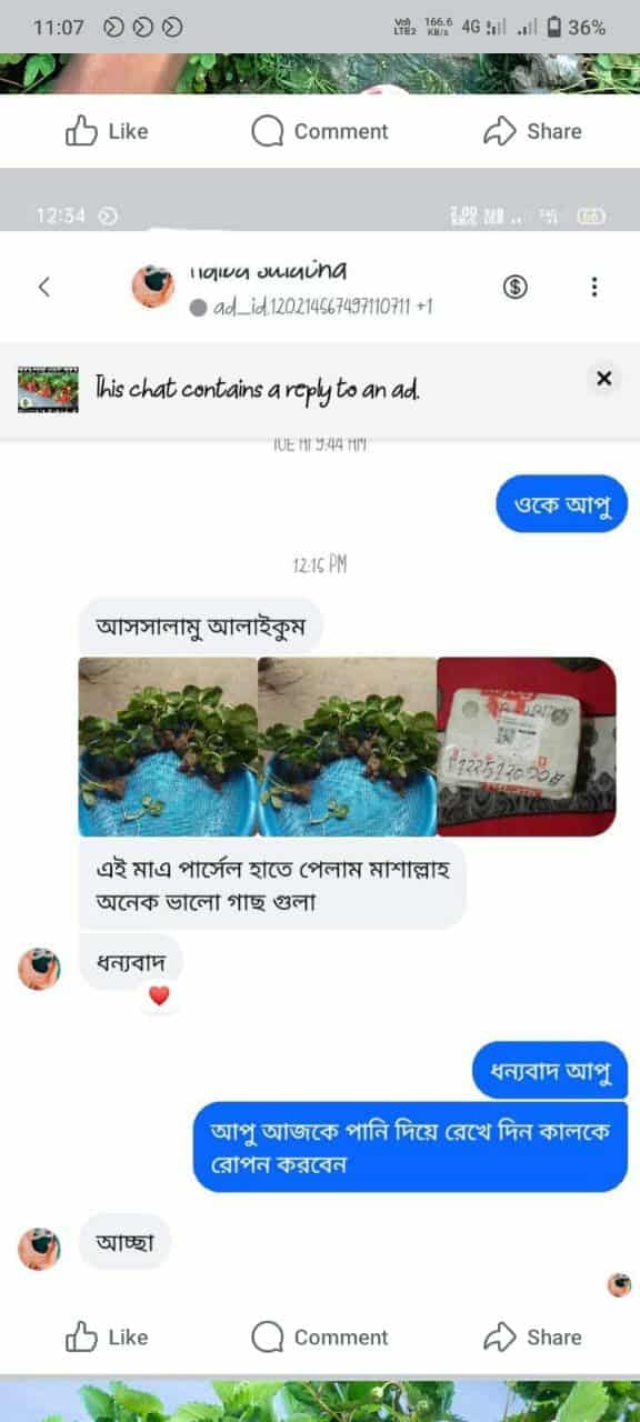 WhatsApp Review 7