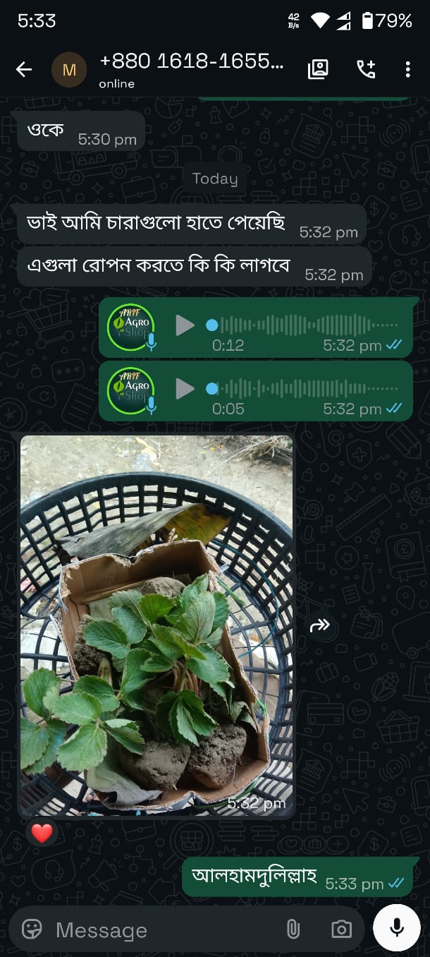 WhatsApp Review 8