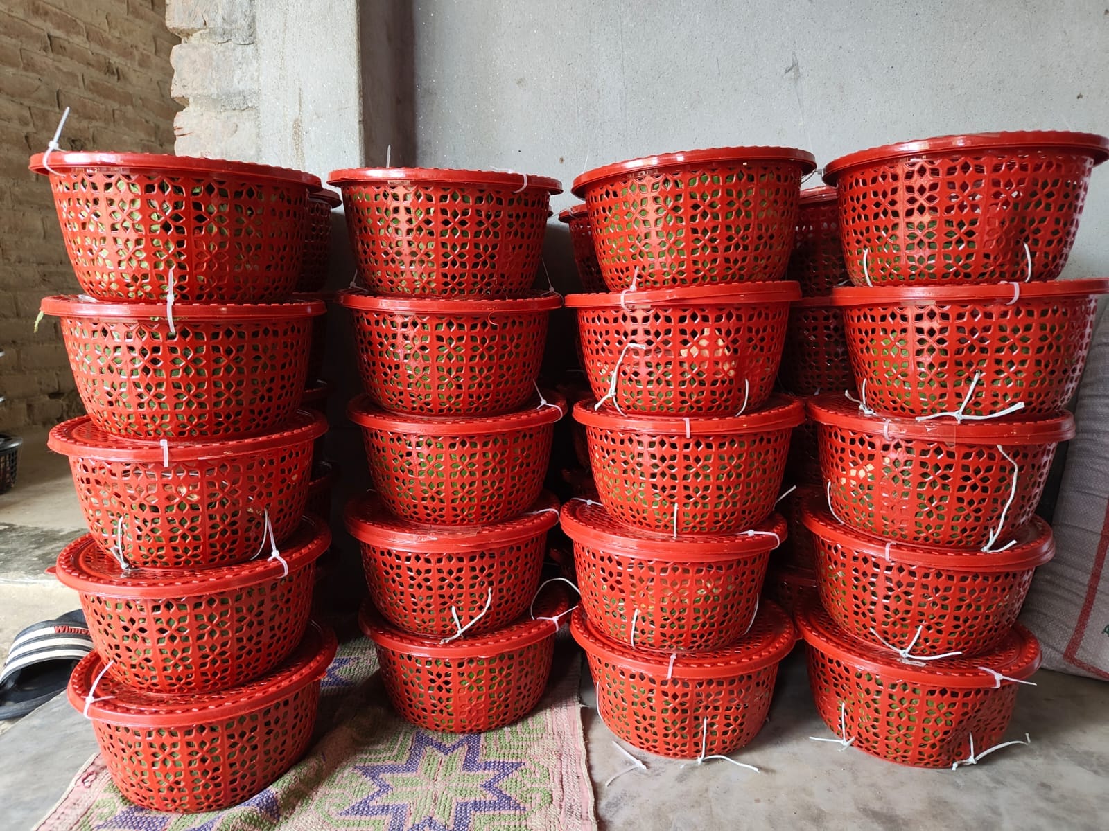 প্যাকেজিং ৩